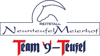 Logo: Team 9-Teufel