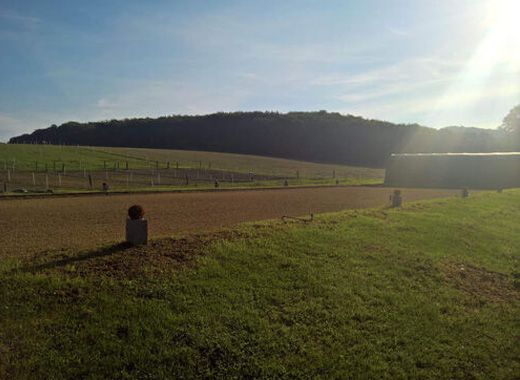 Großes Viereck